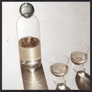 Brand New Fern Living  Clear Glass Carafe